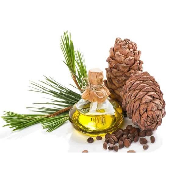 [Chính hãng] Tinh Dầu Thông Đỏ Nga Real Caps Cedar Oil 60 viên