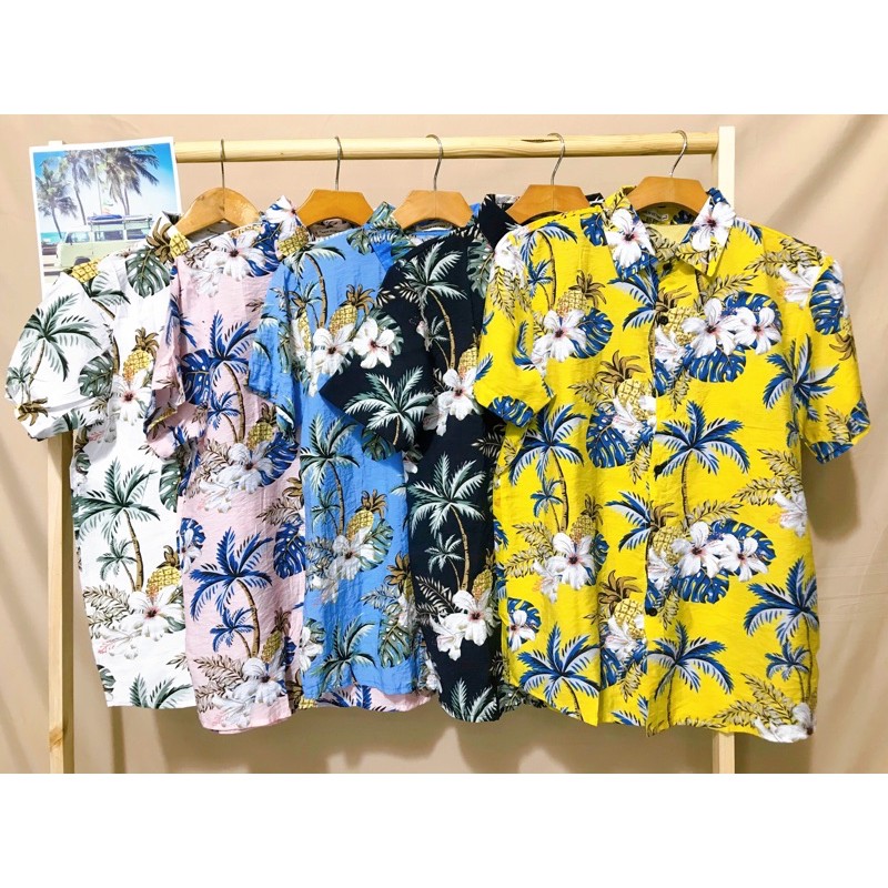 Áo sơ mi thơm lá cây dừa | BigBuy360 - bigbuy360.vn