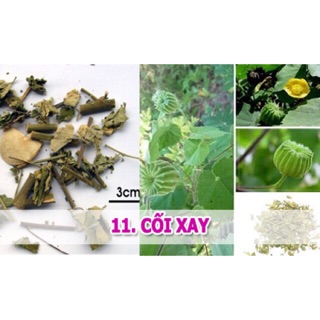 Cây Cối Xay