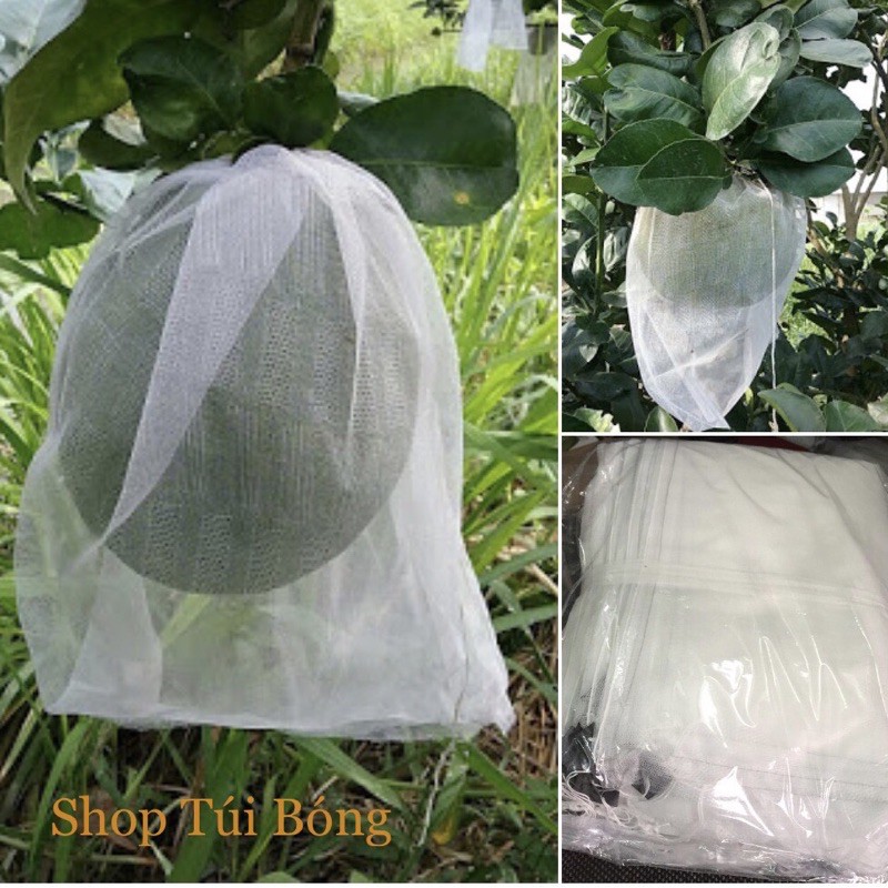 Túi Bọc Bưởi (100 Túi 30x35cm) Túi bọc trái cây chống côn trùng , sâu bệnh