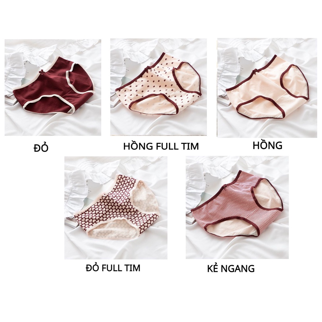 Quần Lót Nữ Cotton Set quần lót cotton mềm mịn tông tim đỏ 2809