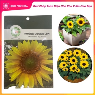 Hạt Giống Hoa Hướng Dương Lùn FVN - Năng Suất Cao, Tỉ Lệ Nảy Mầm Cao, Cho Hoa Nhiều,Màu Hoa Rực Rỡ, Dễ Trồng