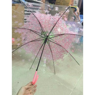 [ SALE TƯNG BỪNG] Ô dù trong suốt hoa văn.