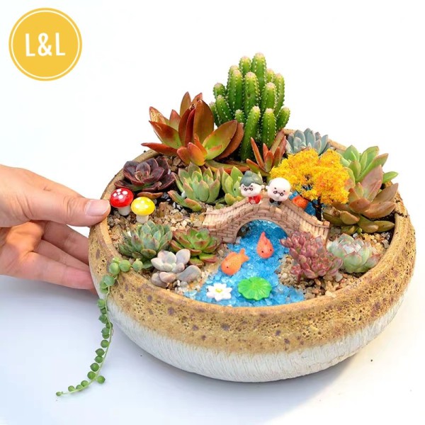 Cặp đôi ông bà già trang trí chậu cây, sen đá, xương rồng, cây cảnh mini