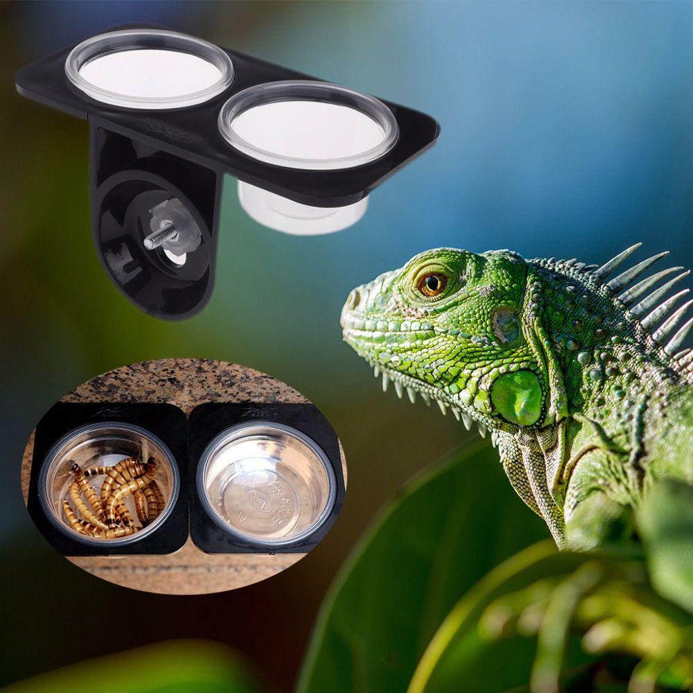 Giá Đỡ Bát Ăn Uống Có Giác Hút Gắn Tường Cho Bò Sát