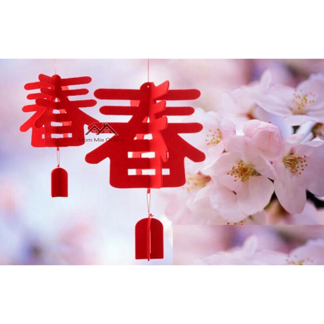 Đèn lồng mùa xuân nhỏ - Lồng đèn đỏ may mắn trang trí Tết, nhà cửa, lễ cưới, khai trương, văn phòng, homestay
