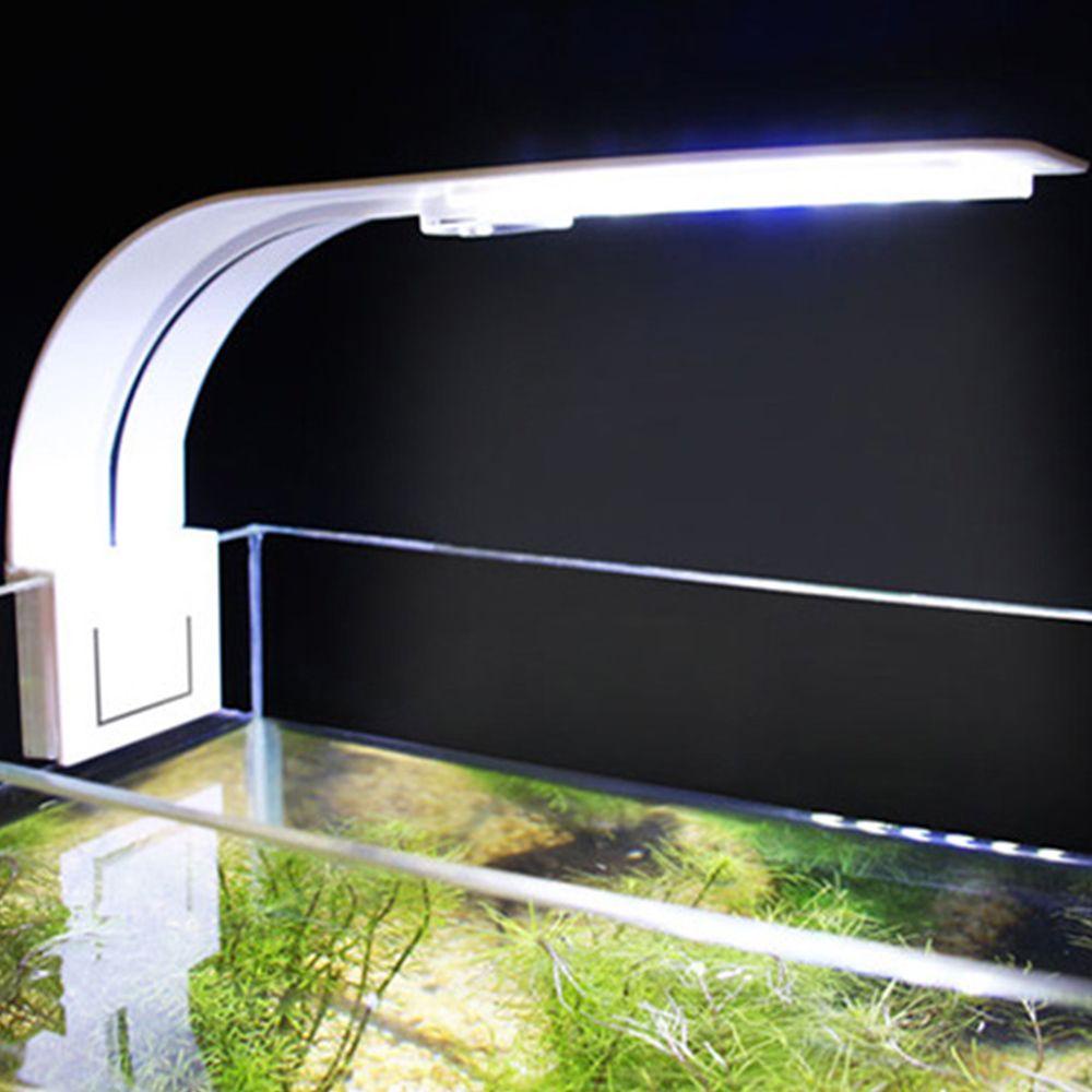 Đèn LED 220V Trang Trí Bể Cá Toàn Diện