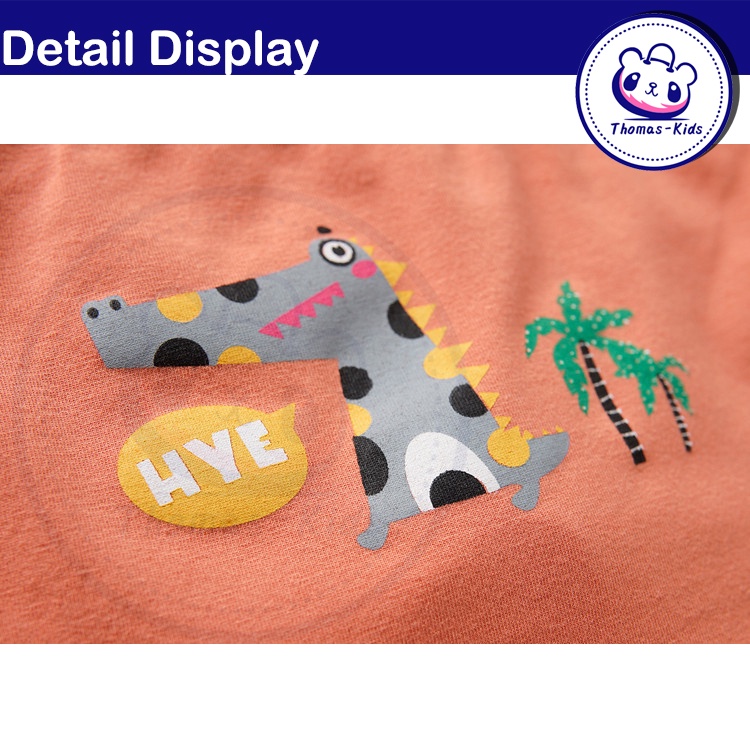 Bộ 5 Quần Lót Boxer 100% Cotton In Họa Tiết Khủng Long Hoạt Hình Cho Bé Trai 3-12 Tuổi