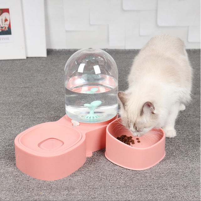 [Có hộp] Combo bát ăn - bình nước 3 ngăn Pake Away cho chó mèo