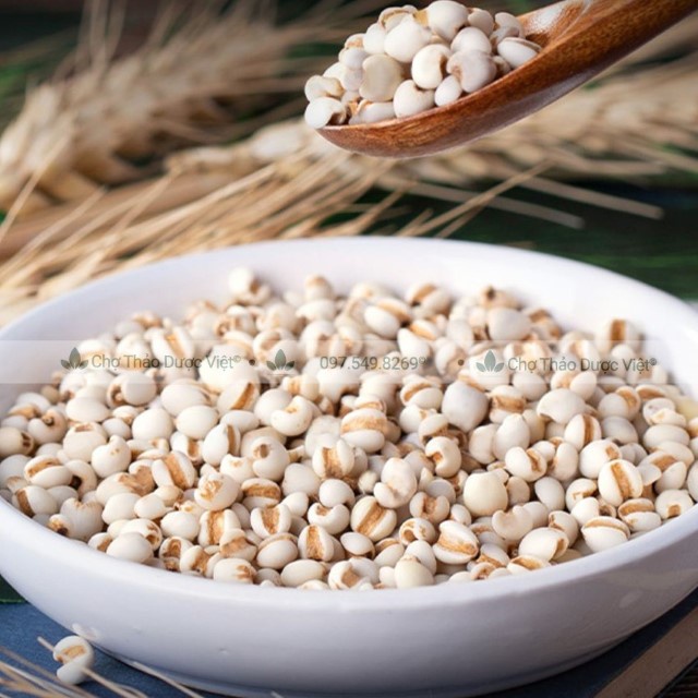 Y Dĩ Nếp Hạt To 1kg (Ý Dĩ,Hạt BoBo)