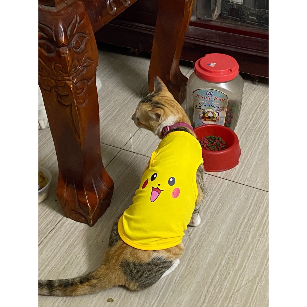 Quần Áo Chó Mèo Thời Trang Thú Cưng Size Từ Nhỏ Đến Lớn Chất Thun Co Giãn Độ Bền Tốt Mẫu Pikachu Pokemon Cute