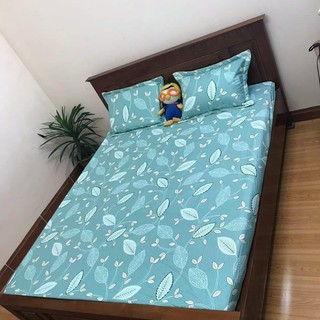 Bộ Chăn Ga Gối Cotton Hàn Quốc PLX31 H2 Store mềm mịn thấm hút mồ hôi cao cấp sang trọng