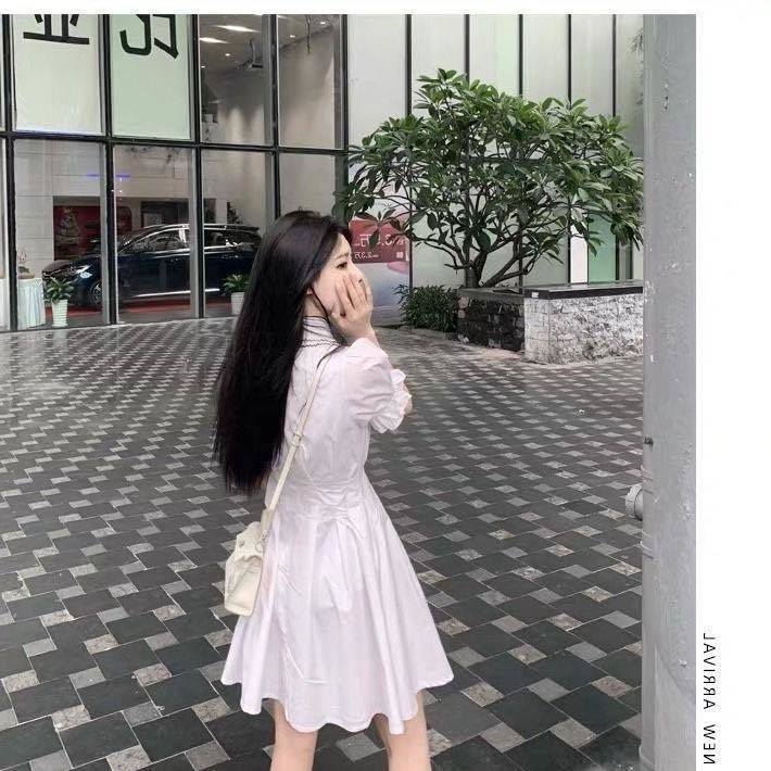 Korean Style Dress with Waist and Super Fairy Slim Skirt