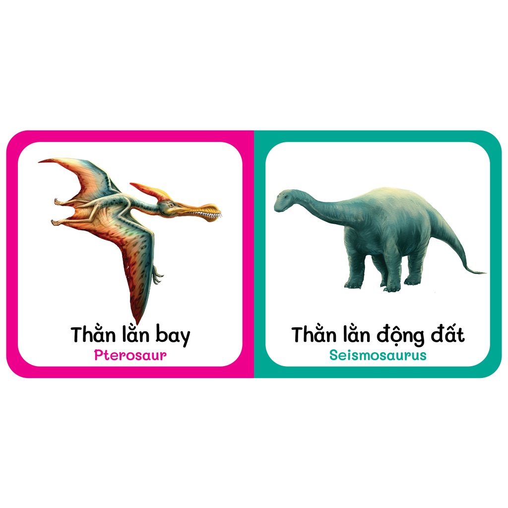 Sách - Baby'S First Picture Dictionary - Từ Điển Bằng Hình Đầu Tiên Của Bé - Khủng Long - Dinosaurs (Bìa Cứng)