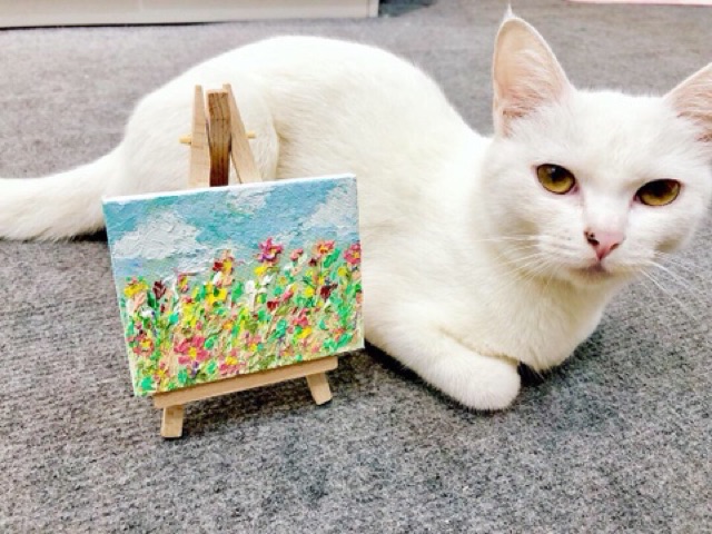 Canvas Mini Mont Marte kèm giá đỡ (Size 8x 10cm)