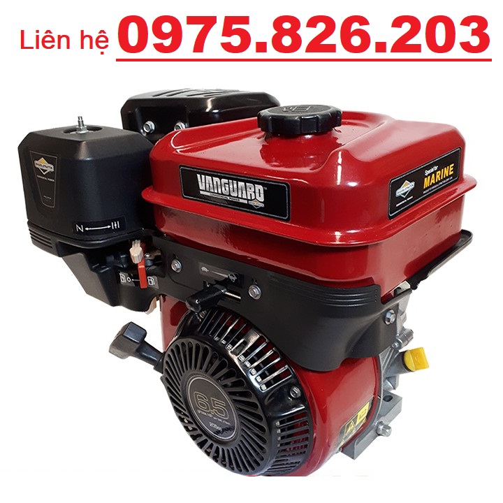 Máy Nổ – Động Cơ Xăng 5.5Hp Briggs And Stratton BS 5.5R  Trục Lệch - Hàng Sẵn