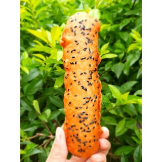 bột bánh chuối pha sẵn