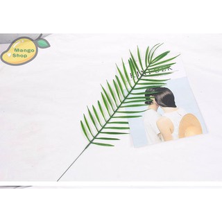 Lá nhựa chụp ảnh ( Lá dừa )