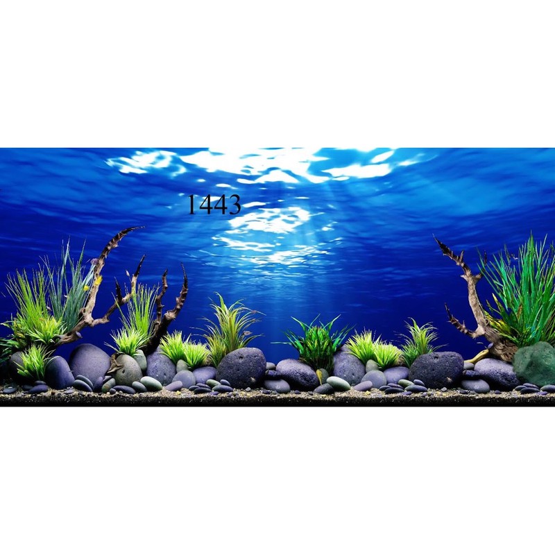 Tranh dán bể cá 3D