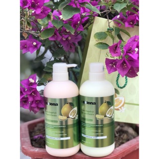 Dầu gội bưởi bộ dầu gội dầu xả bưởi đặc trị rụng tóc phục hồi hư tổn selena