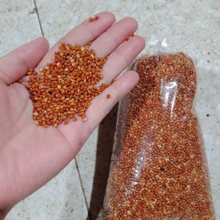 Kê đỏ hạt nhỏ,hạt to túi 500g