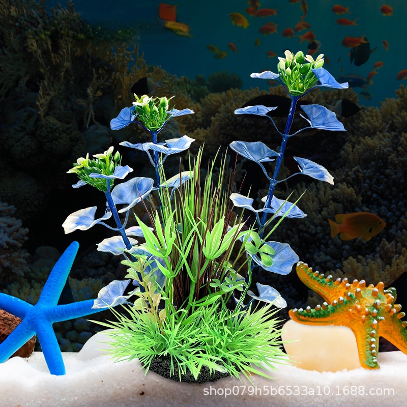 Cây Thủy Sinh Nhân Tạo, Sản Phẩm Nước Biển, Trang Trí Bàn Ăn, Cửa Hàng Thực Phẩm, Trang Trí Bàn Cát Thật