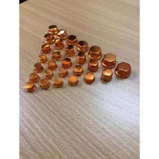 Chụp ốc xe máy
