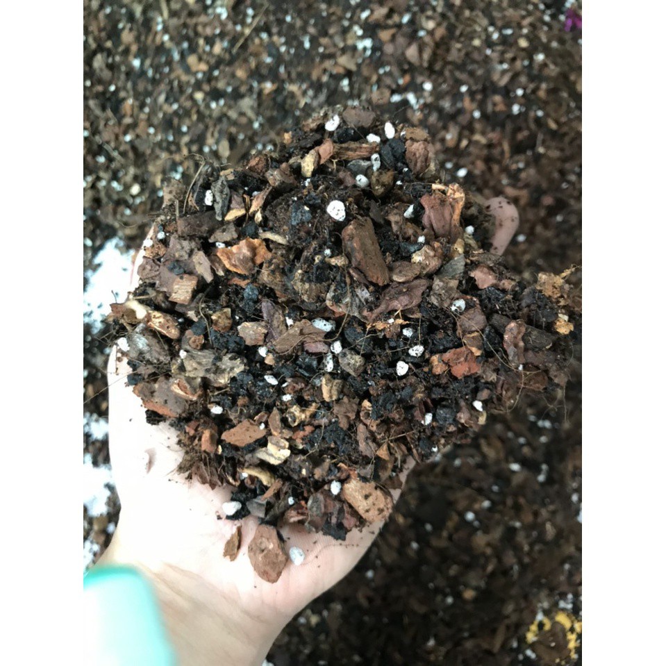 Giá thể trồng lan đặc biệt 2KG đã trộn sẵn trồng