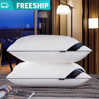 Combo 2 ruột gối cao cấp 46x65
