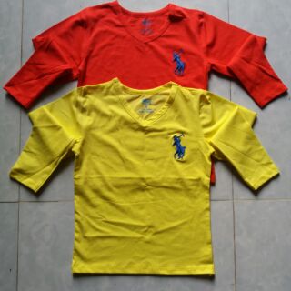 Áo thu dài tay cổ tim