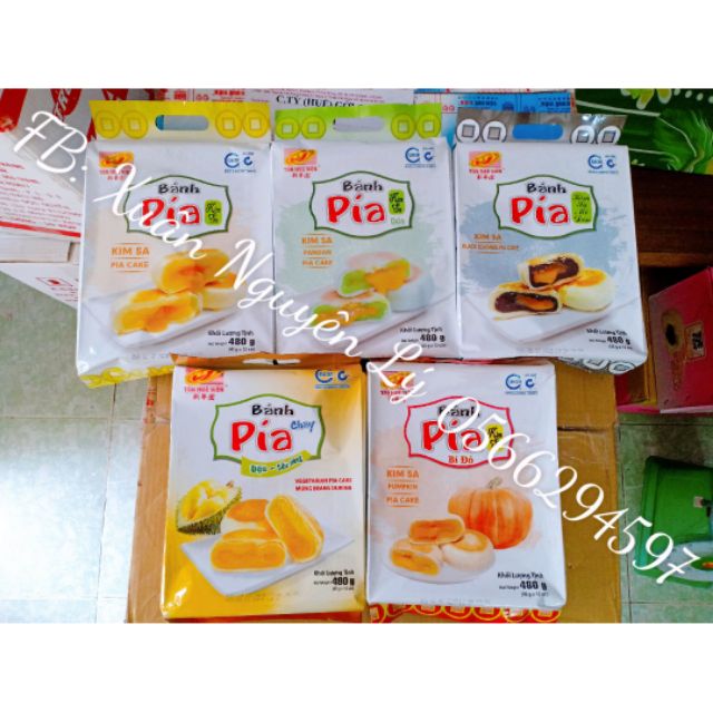 [ Combo 2 Bịch ] Bánh Pía Mini Kim Sa Đậu 480g ( 1 Bịch 12 Cái ) ( Có 10 Vị) Tân Huê Viên - DING DING FOOD