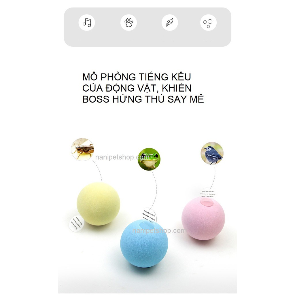 (>‿◠)✌ [NowShip] Banh đồ chơi cho mèo mô phỏng côn trùng Pet Gravity  - Có cỏ bạc hà bên trong- Nà Ní Pet Shop