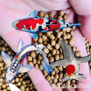 COMBO 2KG THỨC ĂN CÁ ĐẠM CAO(40% ĐẠM) CHO CÁ KIỂNG,CHÉP,KOI,3 ĐUÔI-Cám Cá Cảnh