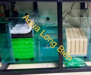 Bùi nhùi moutain tree kích thước 50x50cm