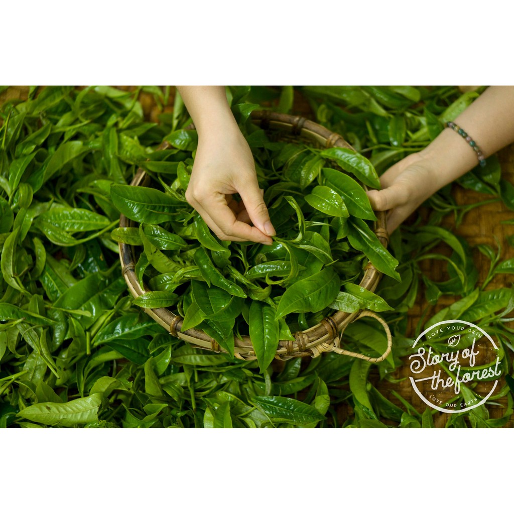 NƯỚC DƯỠNG DA TRÀ XANH