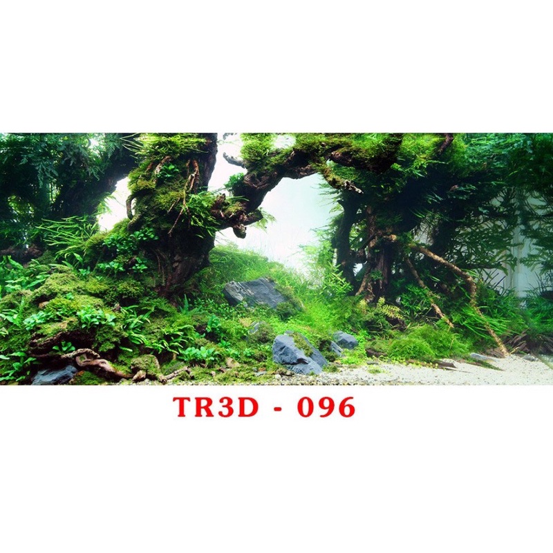 Tranh 3D trang trí hồ cá, bán cạn tiểu cảnh - chủ đề Đại dương xanh part 4