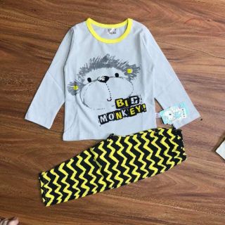 Bộ cotton len đại