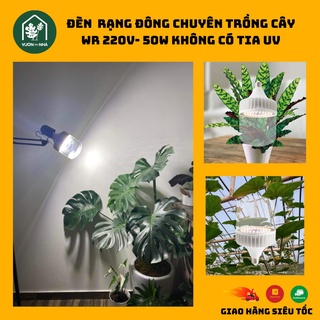 Đèn led trồng cây Rạng Đông 50W 220v không tia UV, đèn quang hợp cho cây trong nhà, kích thích tăng trưởng