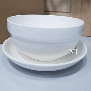 🍀Bộ tô dĩa sứ trắng cao cấp hàng tặng của P&G.
