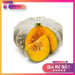 Hạt giống bí đỏ (10 hạt)