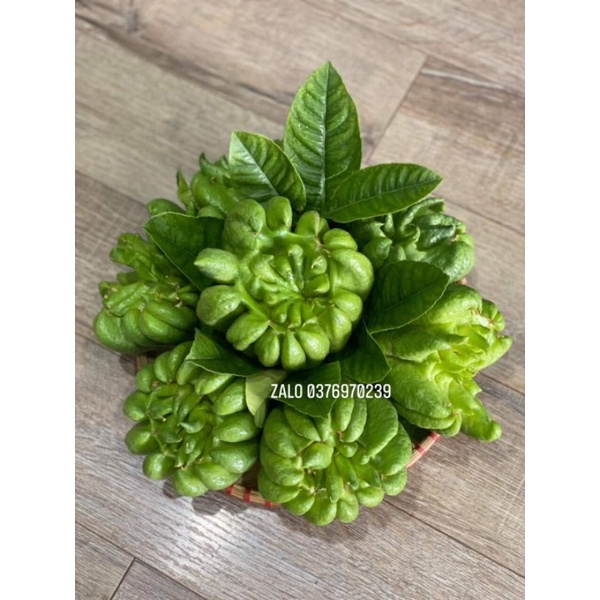 Set 7 phật thủ kèm mẹt