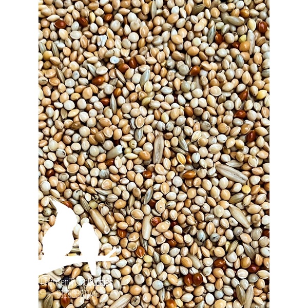 1kg thức ăn hạt hỗn hợp cơ bản Deli Nature cho Yến Phụng