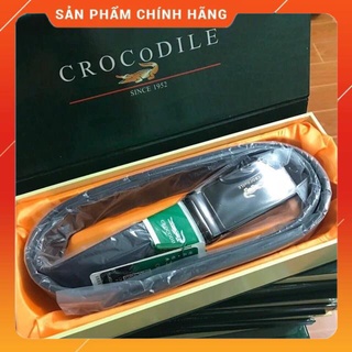 Thắt lưng nam cá sấu Full box