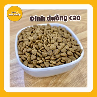 Hạt cho mèo Catizen 1kg