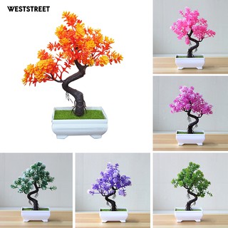Chậu Cây Bonsai Giả Trang Trí Bàn