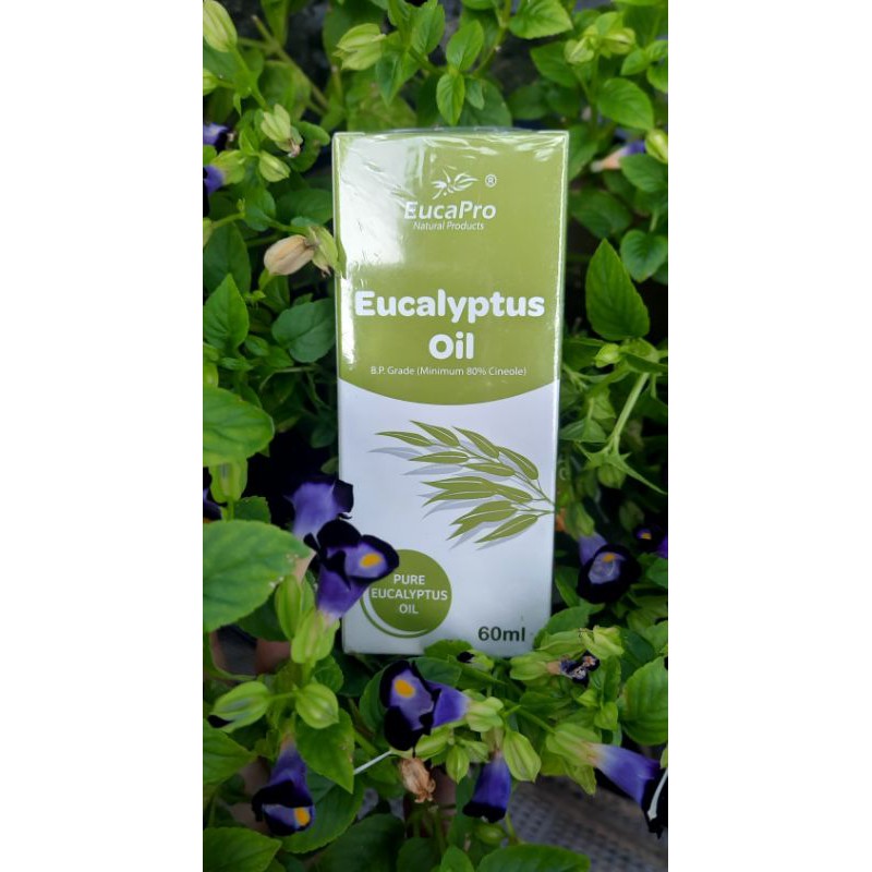 Dầu Khuynh Diệp Eucapro - Eucapro Eucalyptus Oil - 60ML