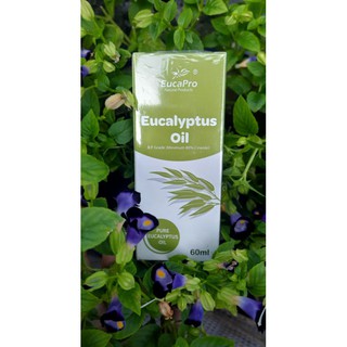 Dầu Khuynh Diệp Eucapro - Eucapro Eucalyptus Oil - 60ML