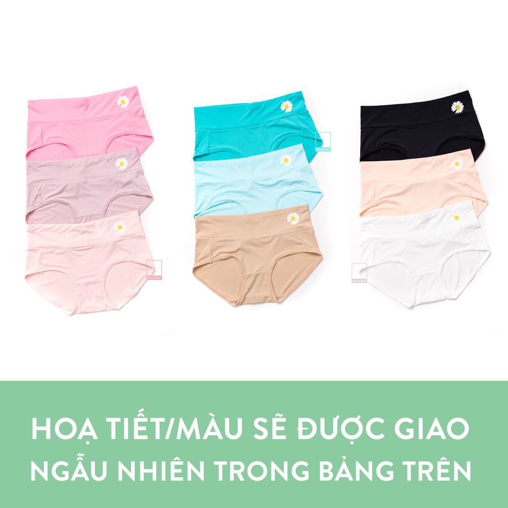 [Mã FAMALLT5 giảm 15% đơn 150k] Quần lót thun màu trơn lưng gấp hoạ tiết hoa cúc BOM SISTER Q949 | BigBuy360 - bigbuy360.vn