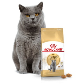 ROYAL CANIN BRITISH SHORTHAIR ADULT(DÀNH CHO MÈO ANH LÔNG NGẮN TRƯỞNG THÀNH) 400GR