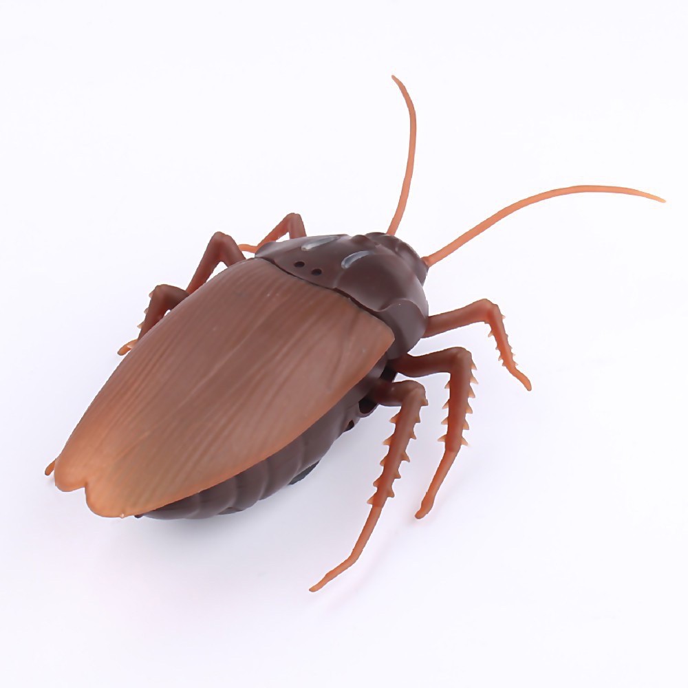 Đồ Chơi Gián Điều Khiển Từ Xa ZF - Siêu Bọ Máy - 9916